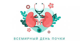 12 марта – Всемирный день почки